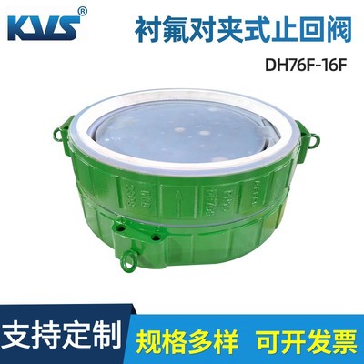 衬氟对夹式止回阀