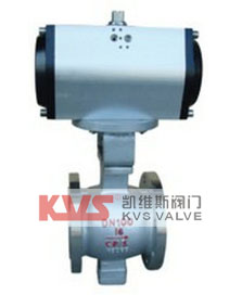 Eccentric Ball Valve