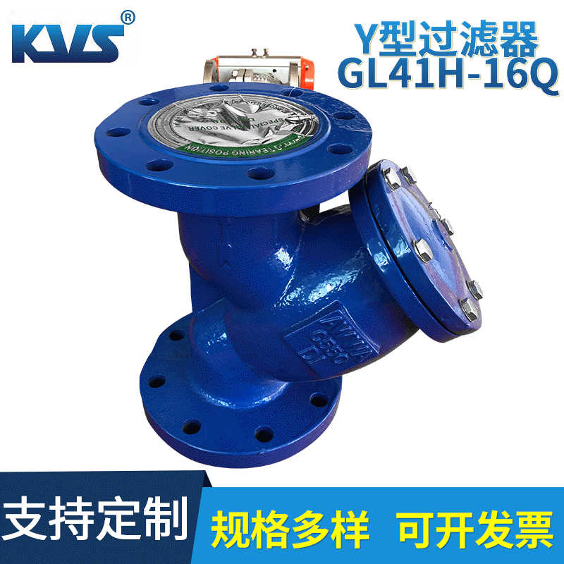Y型过滤器